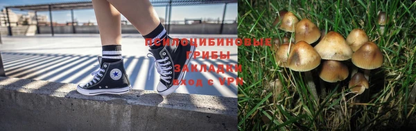 гашиш Лабытнанги