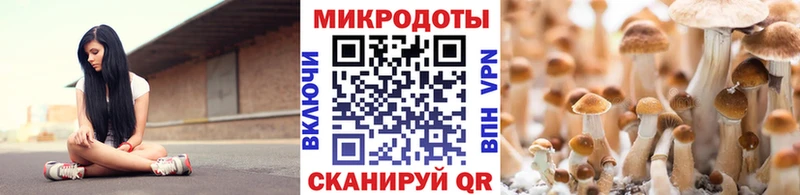 Купить где  Златоуст  Галлюциногенные грибы GOLDEN TEACHER 